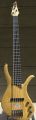 Voir la fiche IBANEZ BASSE AFR 5 CORDES