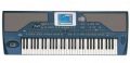Voir la fiche KORG PA800