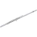 Voir la fiche Flute Traversire QUANTZ  VPE 505 R 