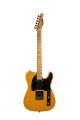 Voir la fiche PRODIPE GUITARS TC80 BUTTERSCOTCH 