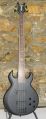 Voir la fiche SCHECTER Scorpion