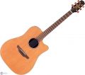 Voir la fiche Takamine FN 15ar palissandre 