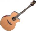 Voir la fiche Takamine TSF 40C 