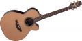 Voir la fiche TAKAMINE DN45C 