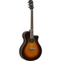 Voir la fiche APX600 OLD VIOLIN SUNBURST 