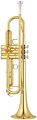 Voir la fiche YAMAHA TROMPETTE CUIVRE ROSE YTR5335G 