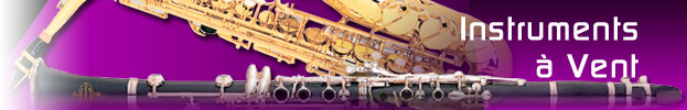 BUFFET CRAMPON, FRIEDRICH MULLER, OCCASION, Prelude by Conn-Selmer, SELMER, YANAGISAWA,  Achat / vente Instruments � vent - Music Leader International