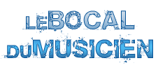 Vente en ligne d'instruments de musique -  