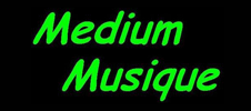 <b>Pour choisir une guitare, il faut la prendre dans ses bras...: guitares folk � partir de 123�. Dallas, Storm, Martin, Larriv�e, Fender, Gibson, Takamine, Taylor, Ibanez, Blueridge, Lag, Yamaha, Gretsch, etc...</b>