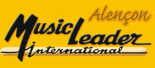 Vente en ligne d'instruments de musique -  
