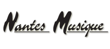 Vente en ligne d'instruments de musique -  